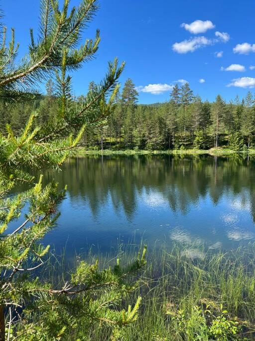 Tretoppen - Ny Moderne Hytte, Unike Finnskogen تورسبي المظهر الخارجي الصورة
