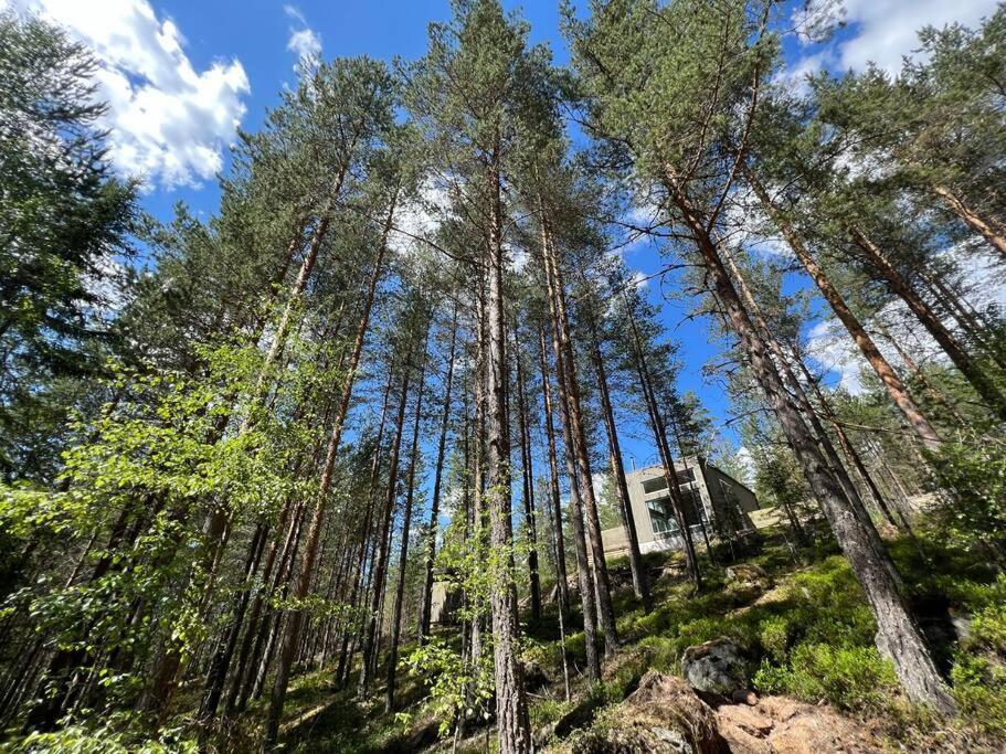 Tretoppen - Ny Moderne Hytte, Unike Finnskogen تورسبي المظهر الخارجي الصورة