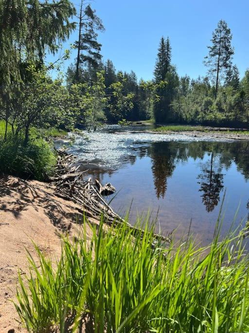 Tretoppen - Ny Moderne Hytte, Unike Finnskogen تورسبي المظهر الخارجي الصورة