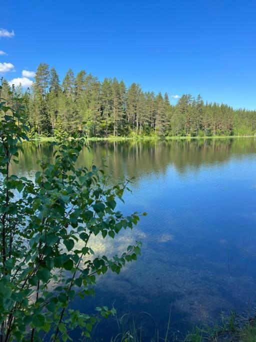 Tretoppen - Ny Moderne Hytte, Unike Finnskogen تورسبي المظهر الخارجي الصورة